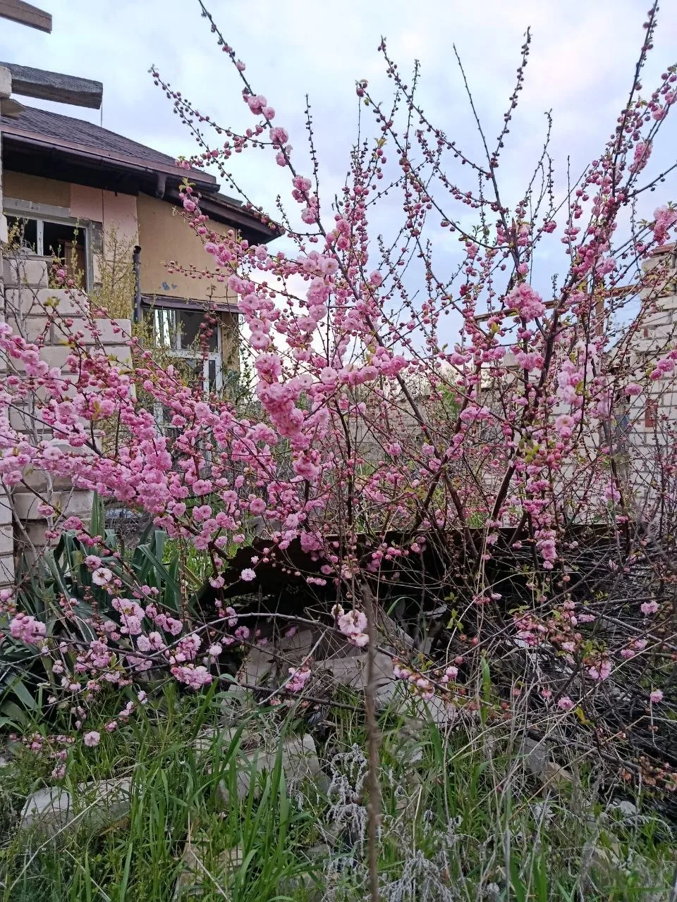 Кременная